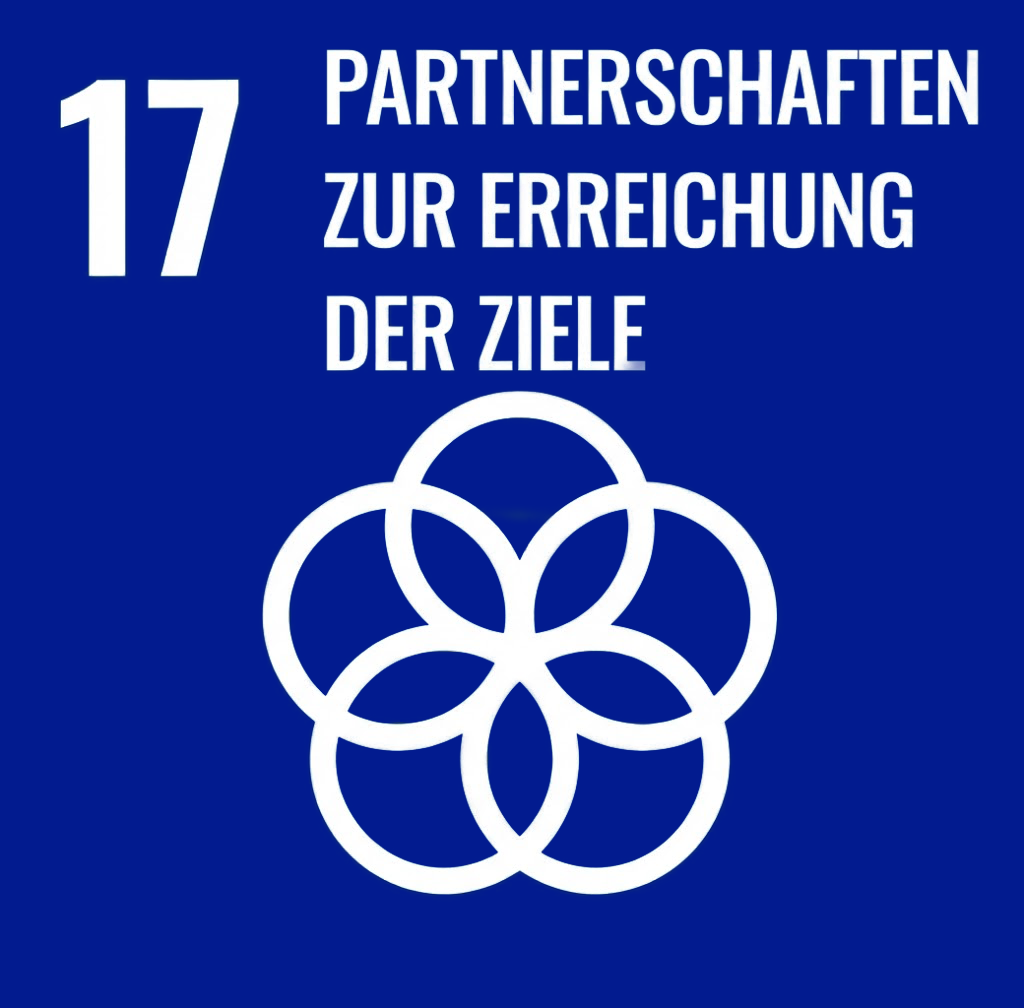 Blaues Quadrat mit weißer 17, Schriftzug "Partnerschaften zur Erreichung der Ziele" und weißes verschlungenes Kreis‑Symbol.